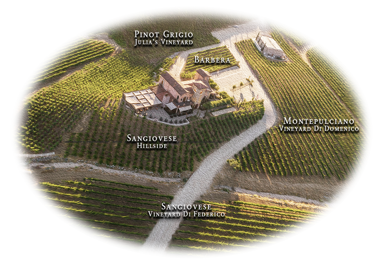 Aerial Vineyard Breakdown